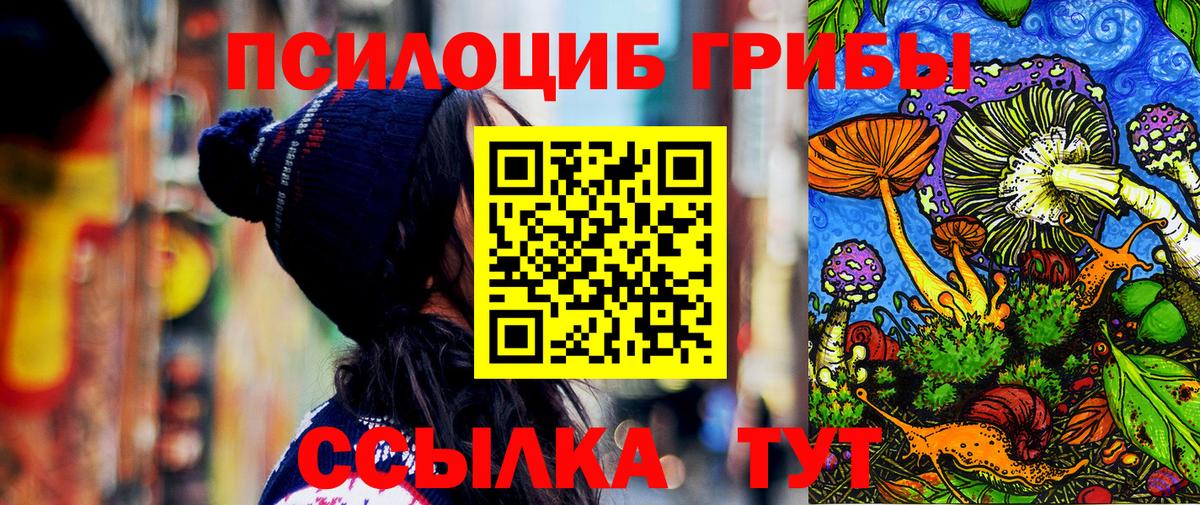 Псилоцибиновые грибы Cubensis  Вход с VPN  Нижний Тагил 